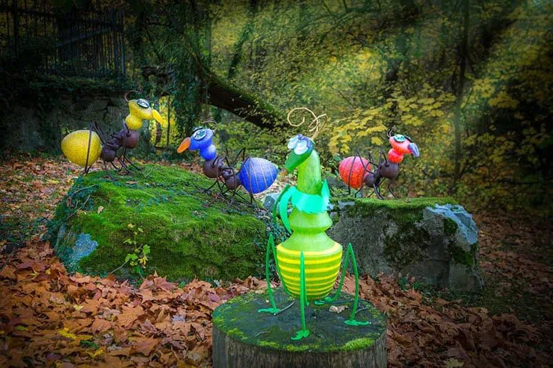 Cleo - Borowski Shop