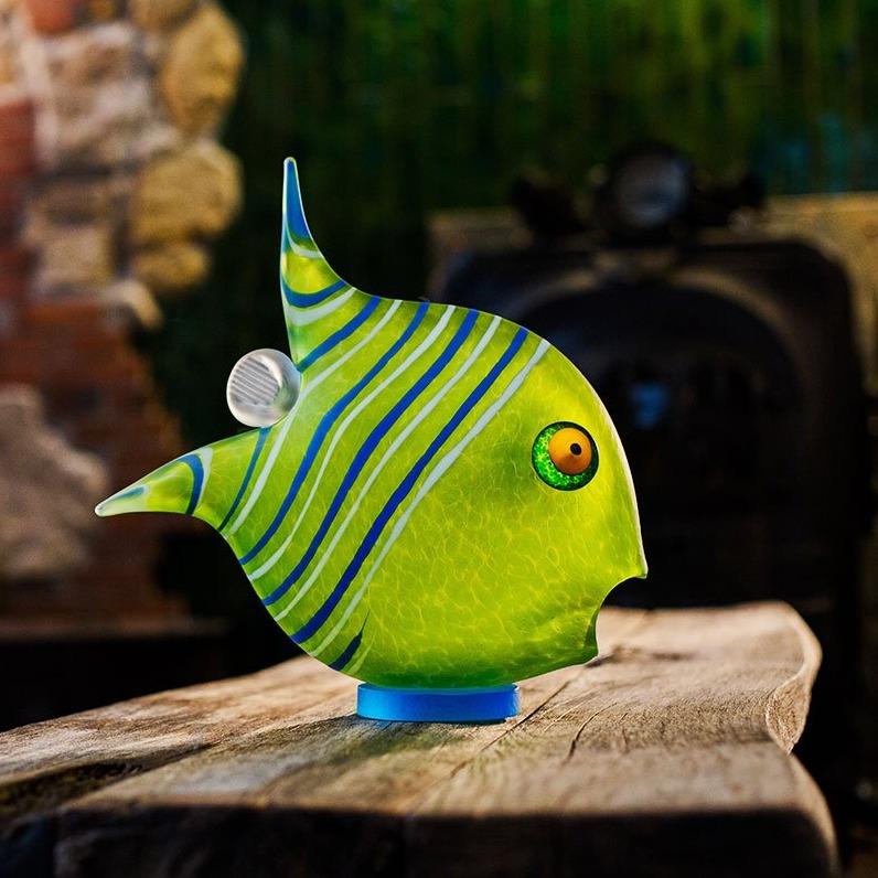 Angelfish - Borowski Shop