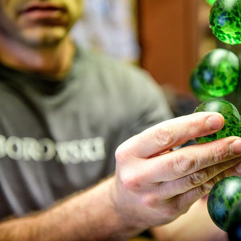 Chameleon - Borowski Shop