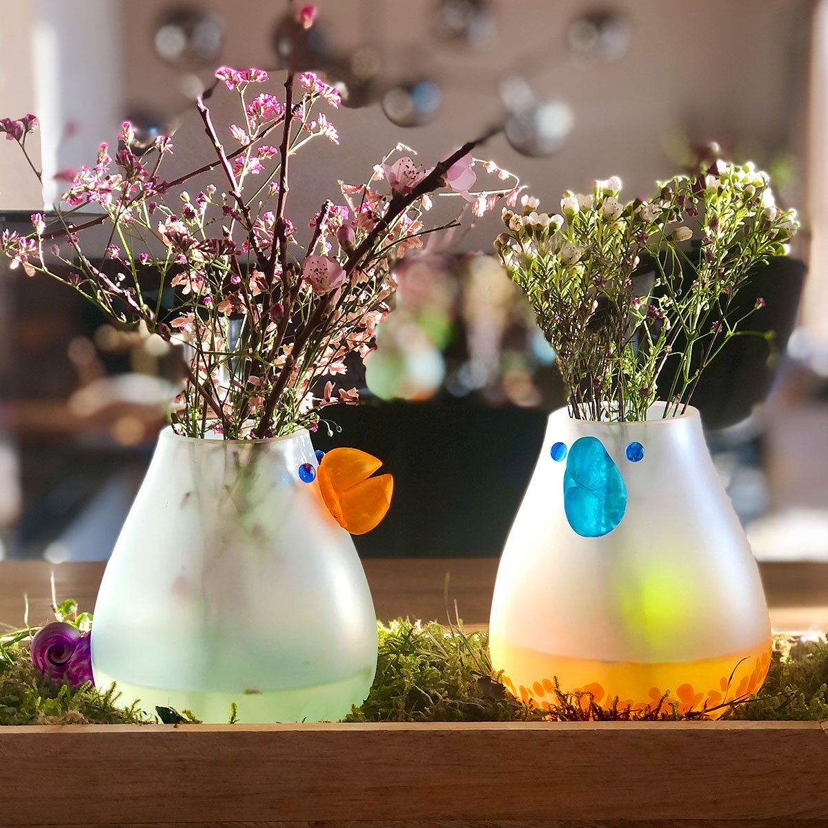 Chicko - Borowski Shop