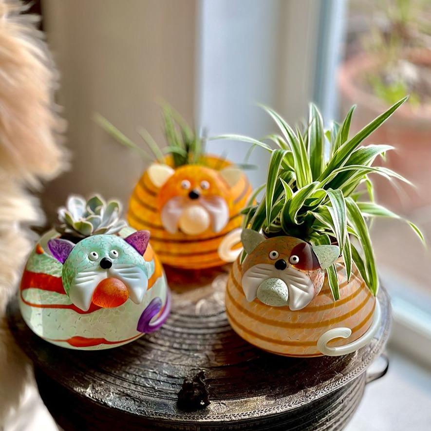 Gizmo - Borowski Shop