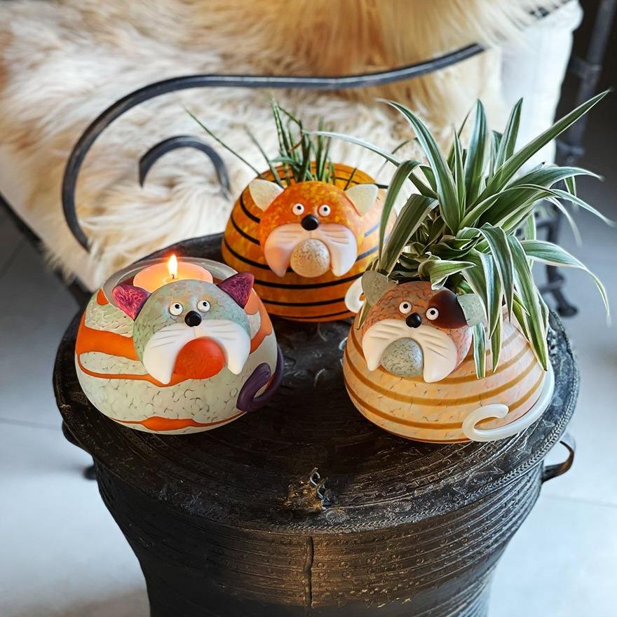 Gizmo - Borowski Shop