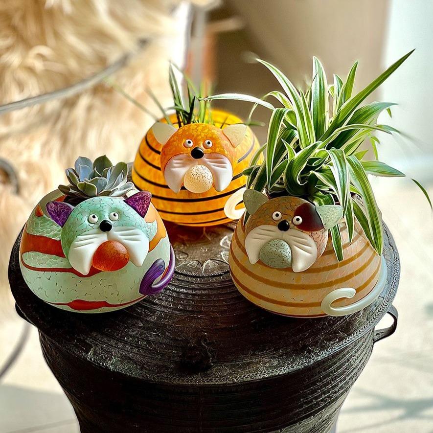 Gizmo - Borowski Shop