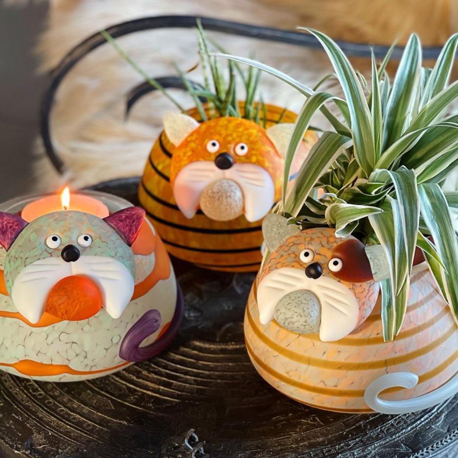 Gizmo - Borowski Shop