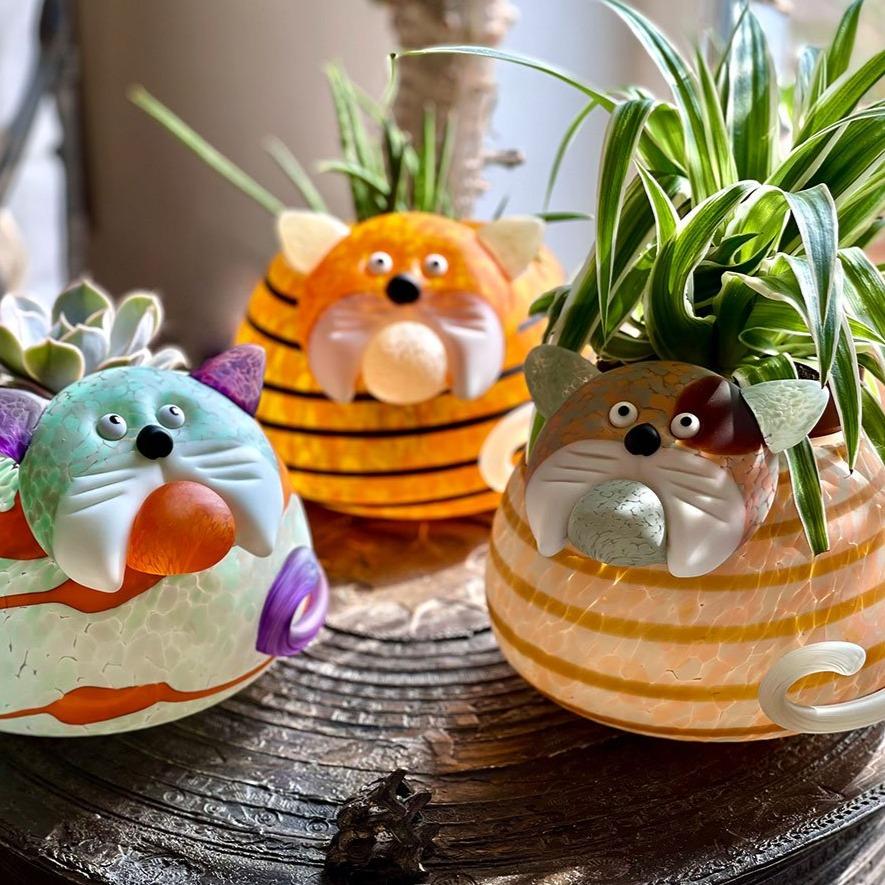 Gizmo - Borowski Shop