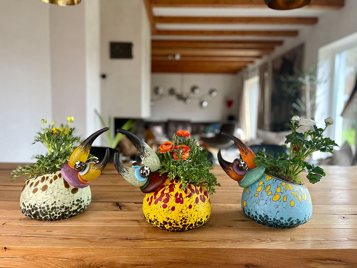 Herkules Bowl - Borowski Shop