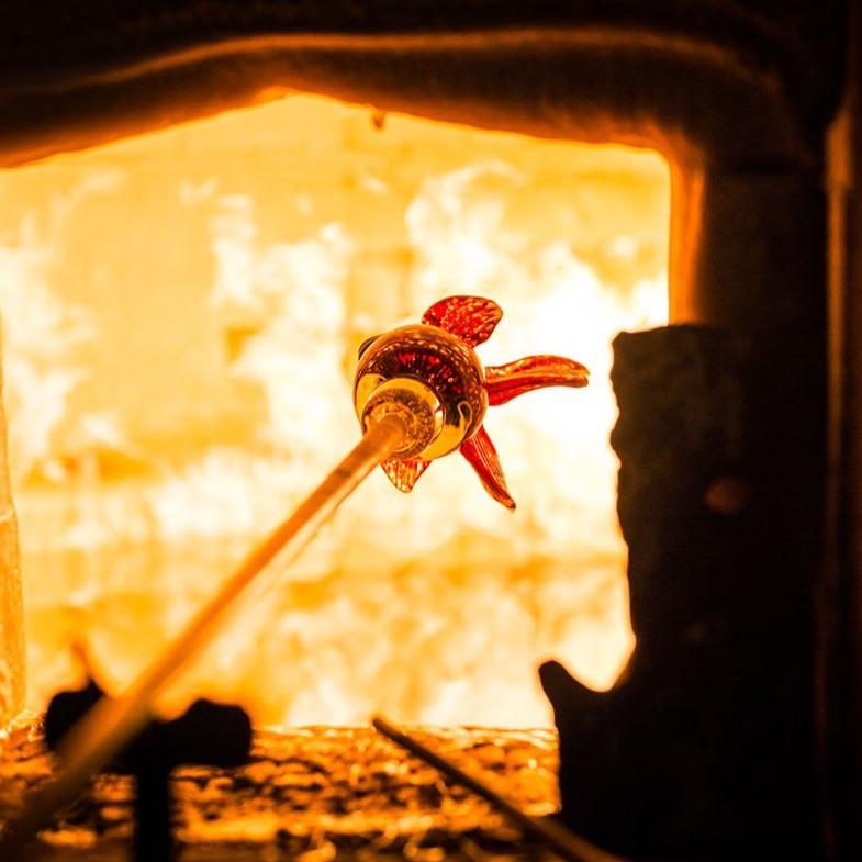 Oranda - Borowski Shop