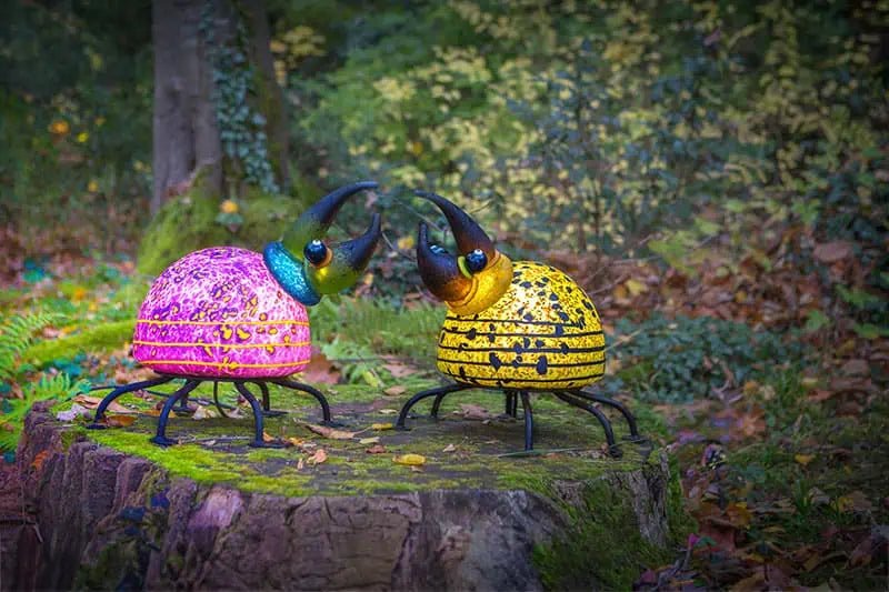 Herkules Bug - Borowski Shop