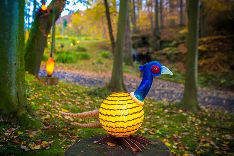 Ludo - Borowski Shop