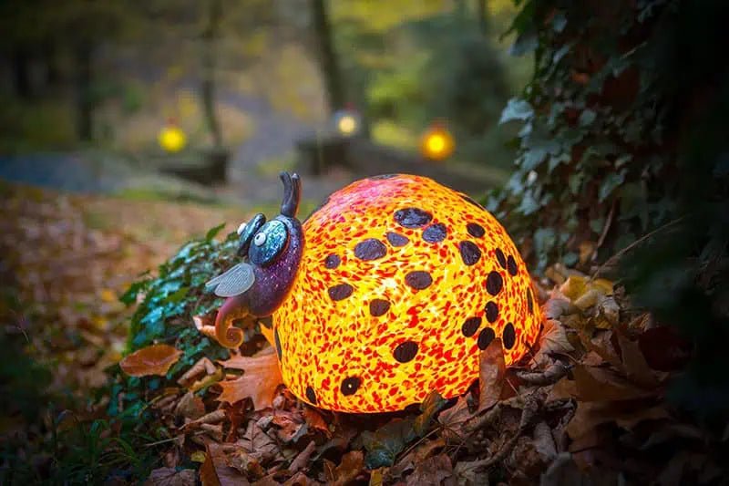 Romeo - Borowski Shop